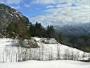 Hardanger    
