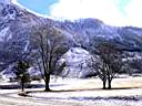 Rosendal III 